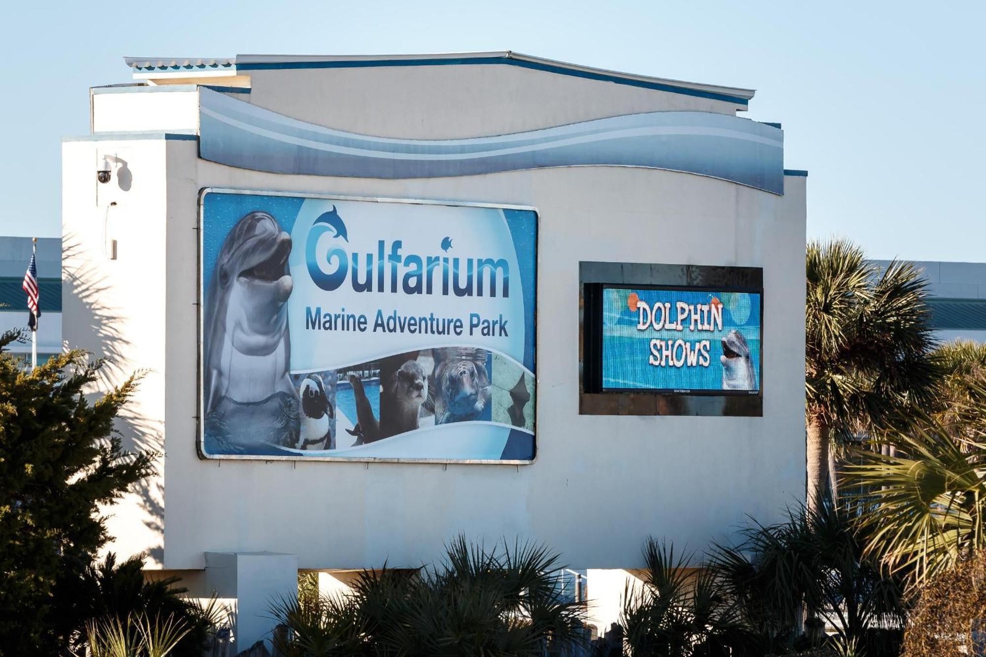 Nautilus Unit 2407 Villa Fort Walton Beach Buitenkant foto