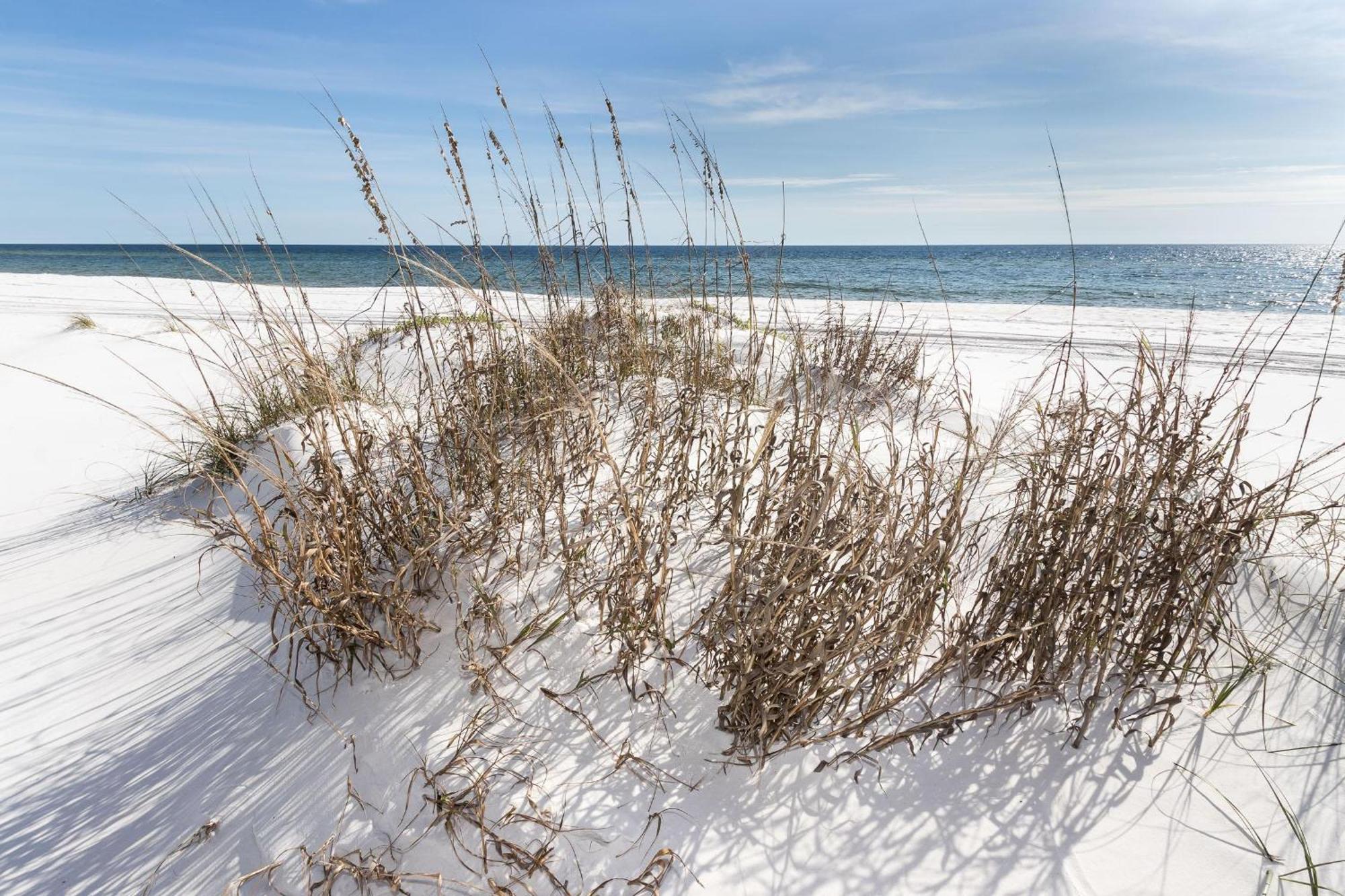 Nautilus Unit 2407 Villa Fort Walton Beach Buitenkant foto